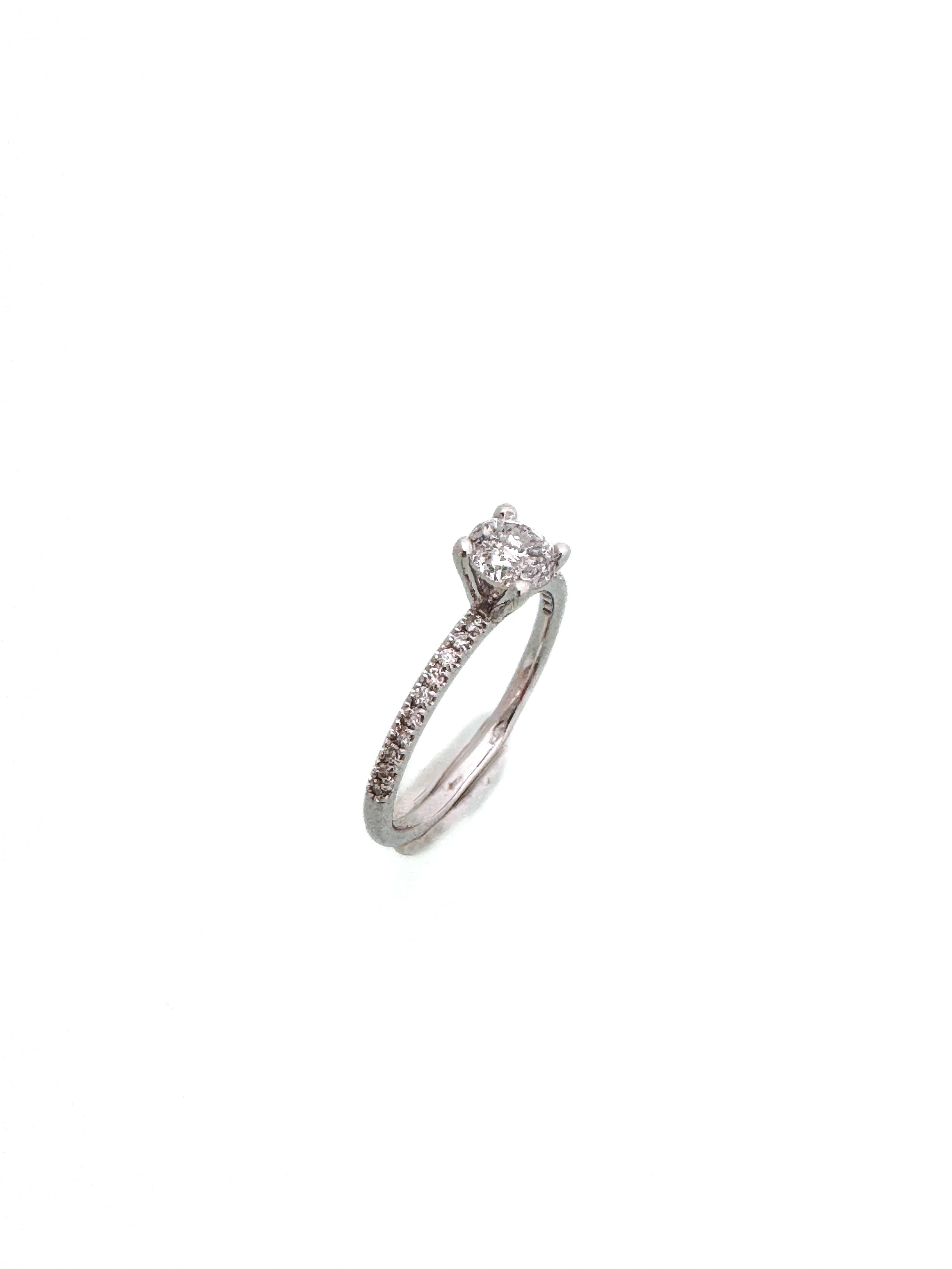 ืืืขืช 14 ืงืืจื ืืืืืืื - Image 2